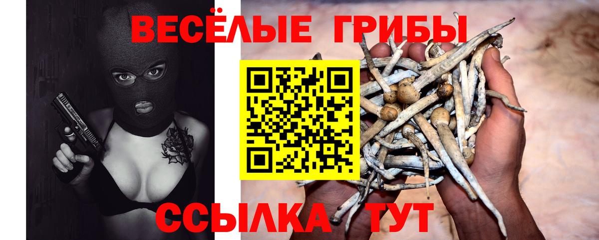 Псилоцибиновые грибы Magic Shrooms Чебаркуль